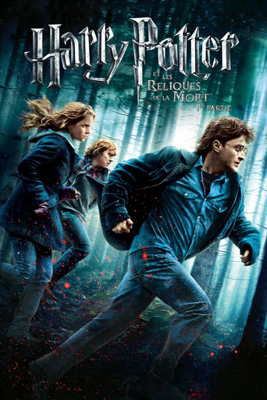 Harry Potter et les reliques de la mort 1ère partie (7)